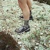Widget image