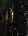 Widget image