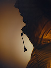 Widget image