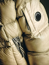Widget image