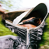 Widget image