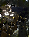 Widget image