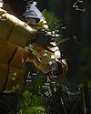 Widget image