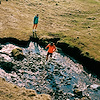 Widget image