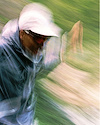 Widget image