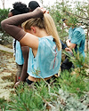 Widget image