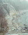 Widget image
