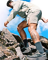 Widget image