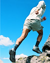 Widget image
