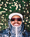Widget image