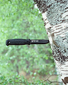 Widget image