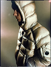 Widget image