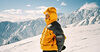 Widget image