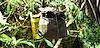 Widget image