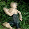 Widget image
