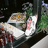 Widget image