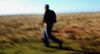 Widget image