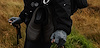 Widget image