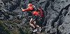 Widget image
