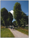 Widget image