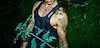 Widget image