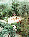Widget image