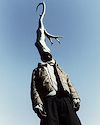 Widget image