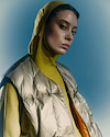 Widget image
