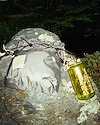 Widget image