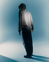 Widget image