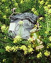 Widget image