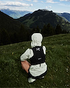 Widget image