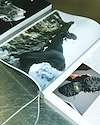 Widget image