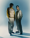 Widget image