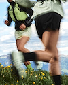 Widget image