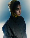 Widget image