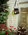 Widget image