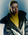 Widget image