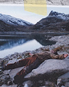 Widget image