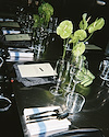 Widget image