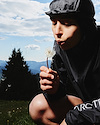 Widget image