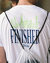 Widget image