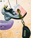 Widget image