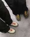 Widget image
