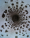 Widget image
