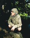 Widget image