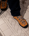 Widget image