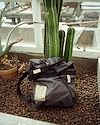 Widget image
