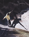 Widget image