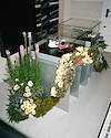Widget image